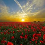 دانلود آهنگ جدید تی ام خیلی سخته